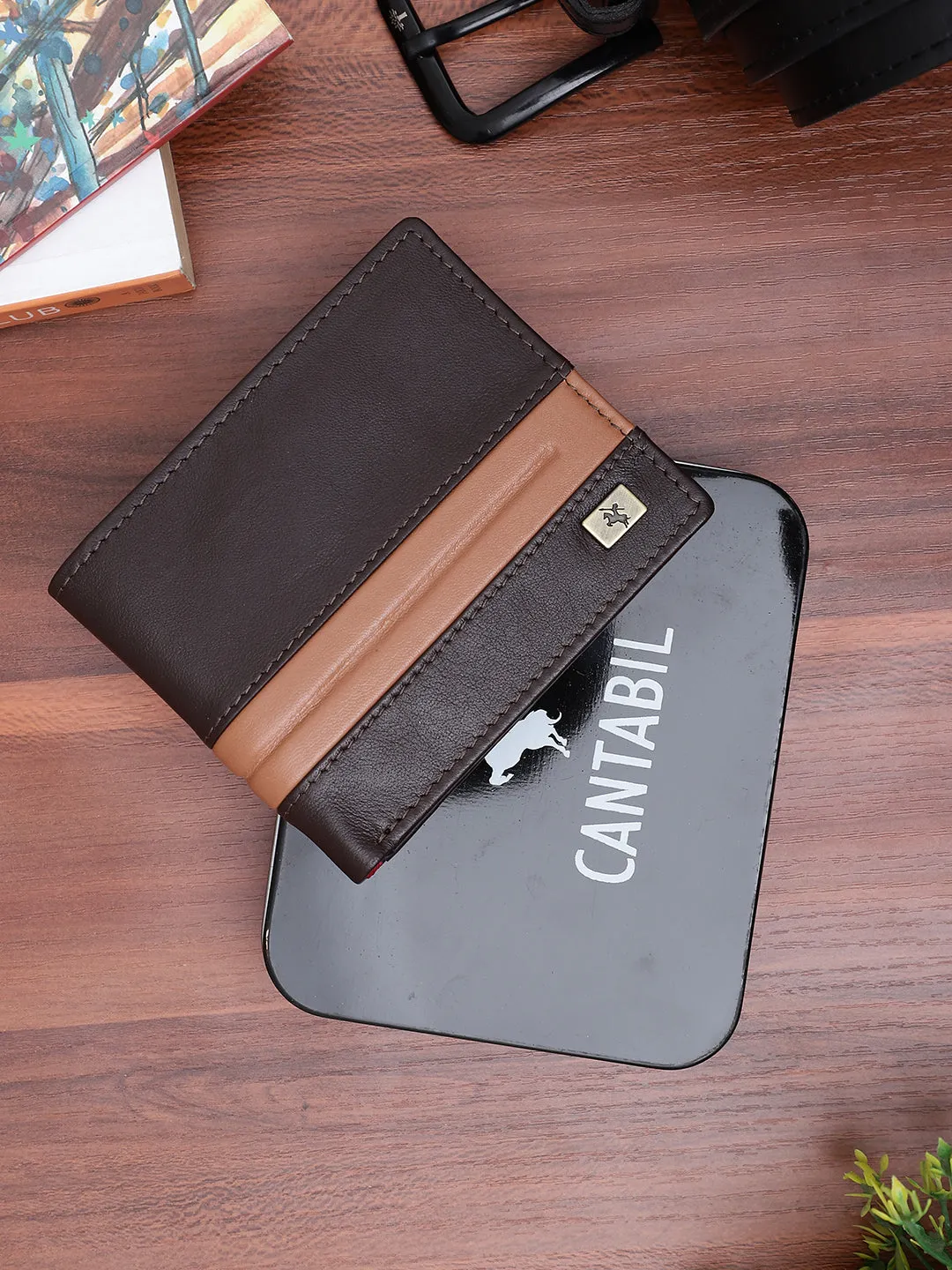 Men Brown Wallet