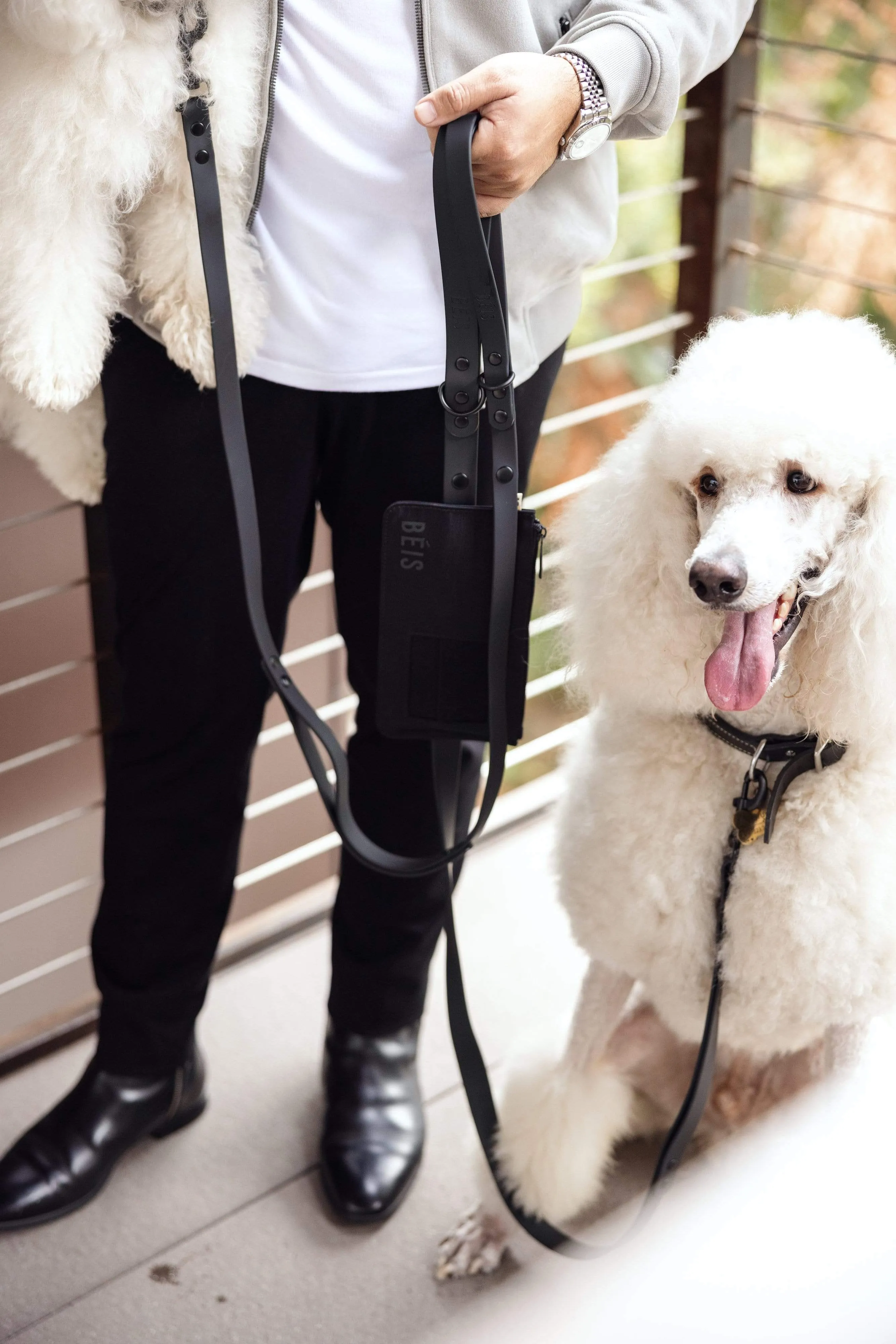 The Pet Leash in XS/S